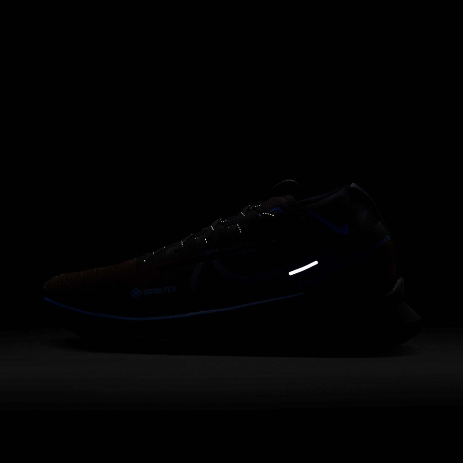 Reflective view of Nike Men's React Pegasus Trail 4 GORE-TEX Running Shoes in brown (7671252091042)