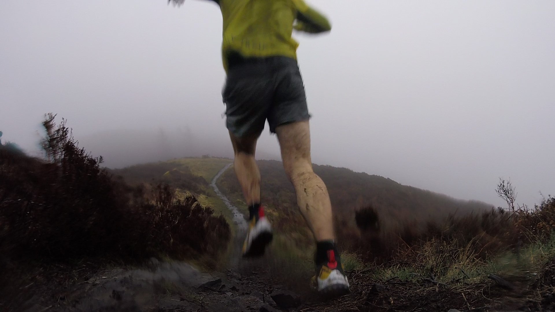 Nike Trail Running Shoes Review