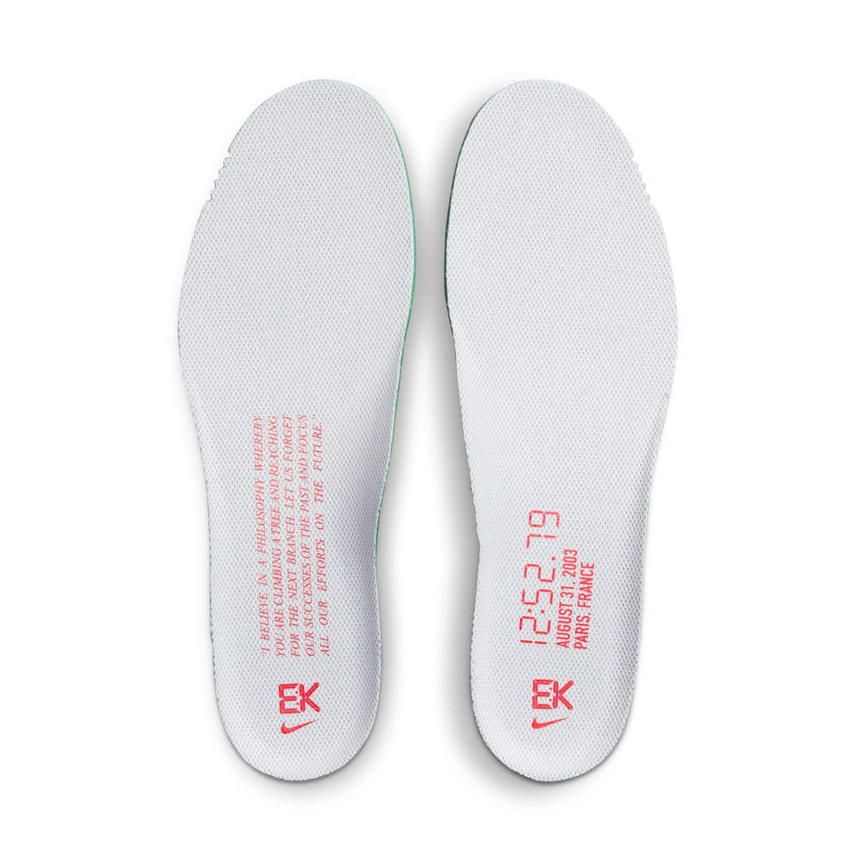 The insoles that come with a pair of Nike Men's Pegasus 40 