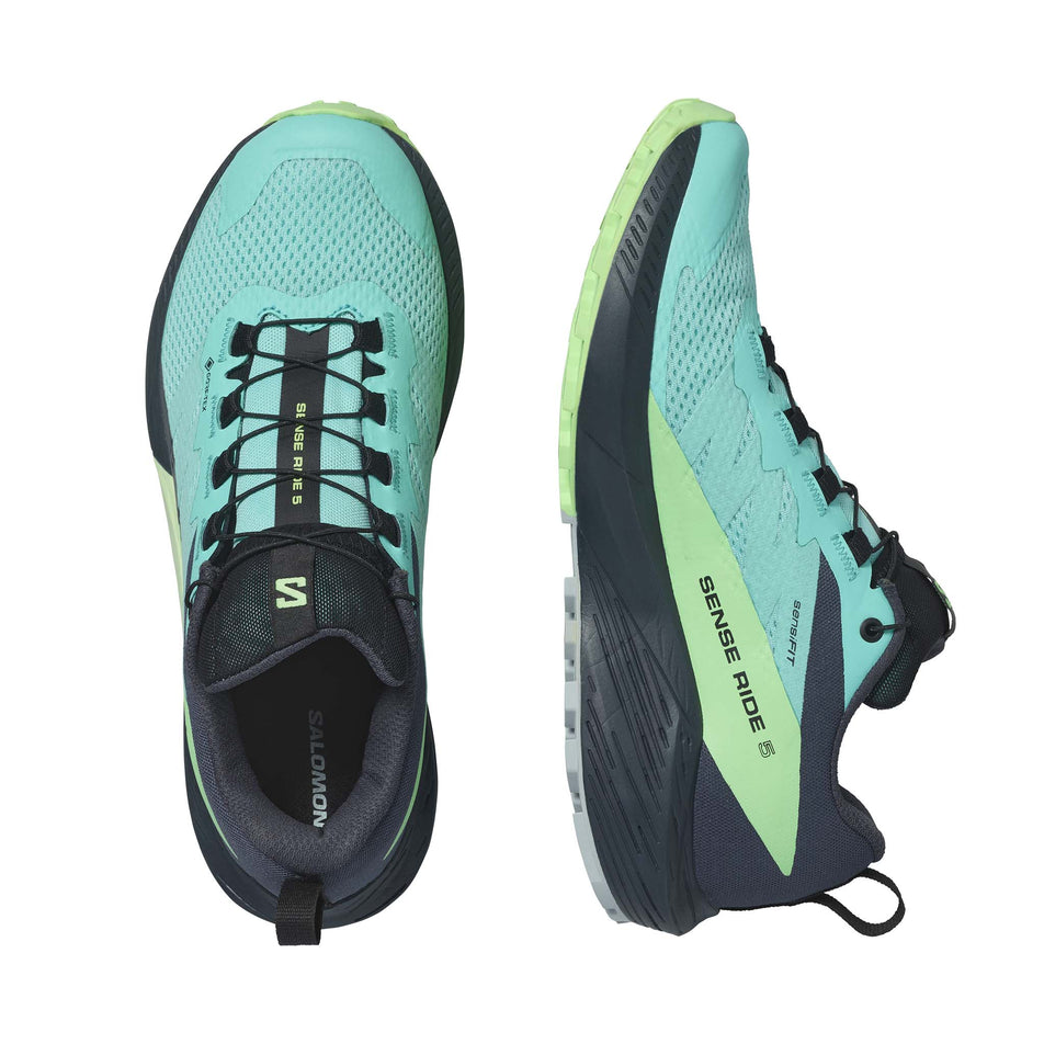 A pair of women's Salomon Sense Ride 5 GTX Running Shoes (7772899344546)